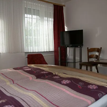 בית הארחה Alte Winzerschenke 2*