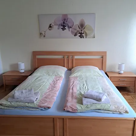 Gasthuis Alte Winzerschenke