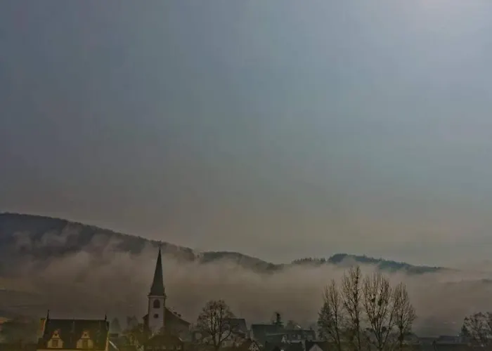 Alte Winzerschenke Maison d'hôtes 2*